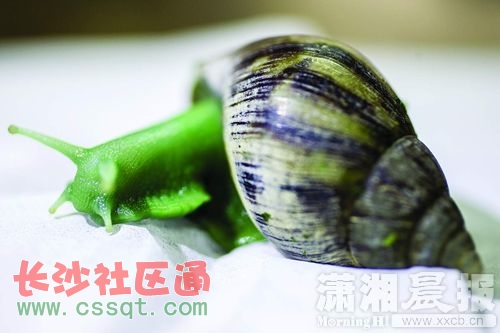 lih1411103.JPG